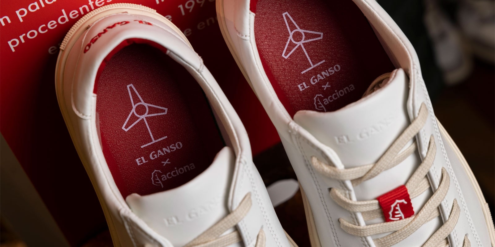 Imagen de zapatillas 'El Ganso'